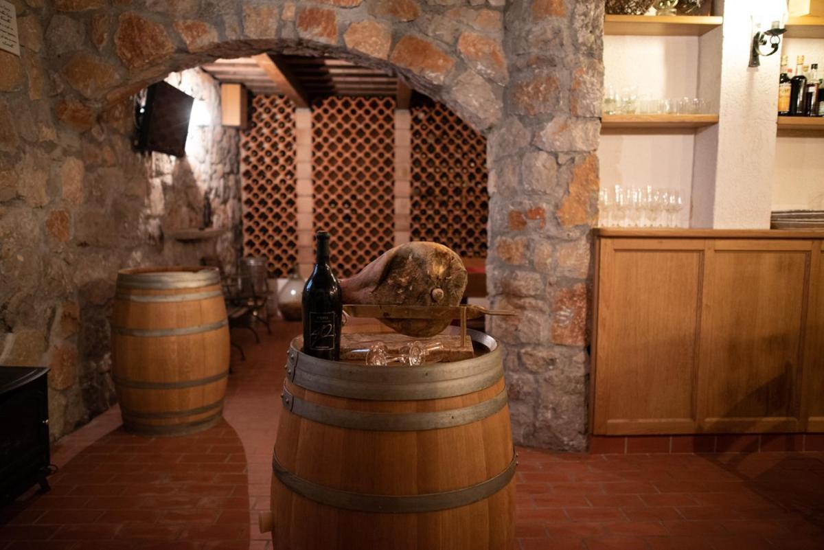 Castle House Rooms, Swimming Pool & Sauna & Tennis Court & Wine Cellar 세자나 외부 사진