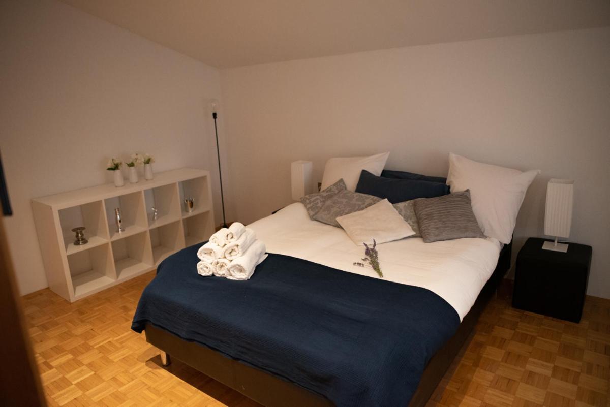 Castle House Rooms, Swimming Pool & Sauna & Tennis Court & Wine Cellar 세자나 외부 사진