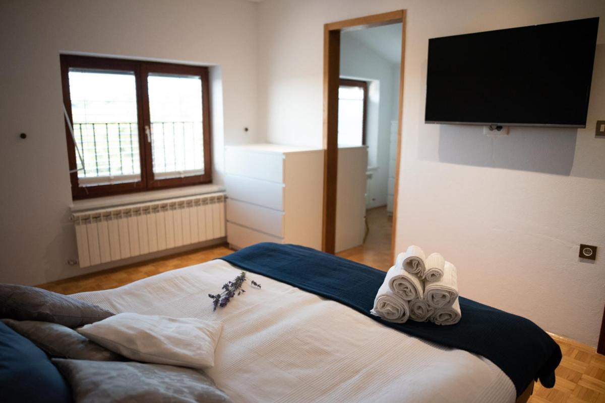 Castle House Rooms, Swimming Pool & Sauna & Tennis Court & Wine Cellar 세자나 외부 사진