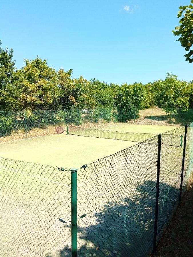 Castle House Rooms, Swimming Pool & Sauna & Tennis Court & Wine Cellar 세자나 외부 사진